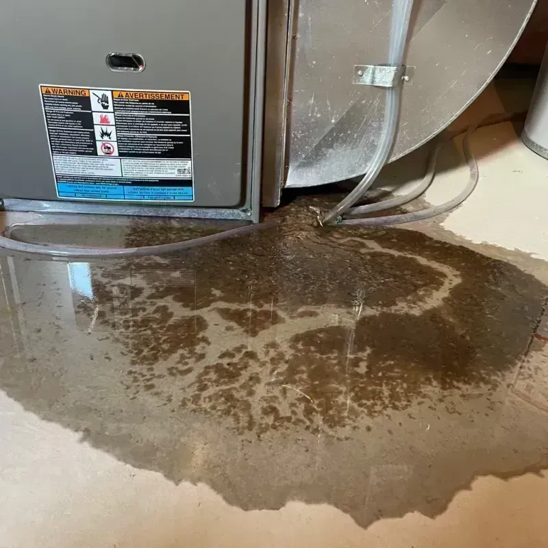 Appliance Leak Cleanup in Wentzville, MO